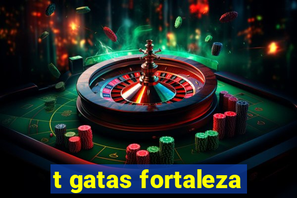 t gatas fortaleza